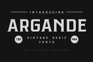 Argande Serif Font for Timeless Branding