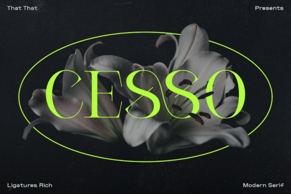 Cesso: A Serif Font That Makes Your Brand Feel Instantly Polished