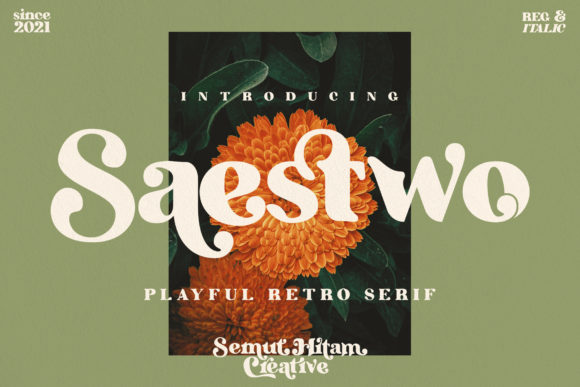 Saestwo: A Retro Serif Font That Anchors Campaign Visuals